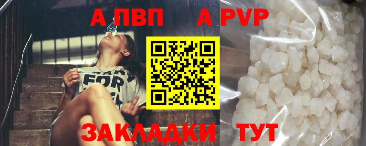 A PVP СК Новороссийск