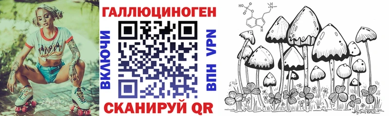 Псилоцибиновые грибы ЛСД  Новороссийск 