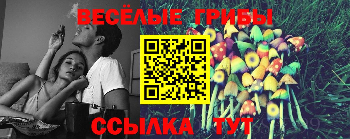 Псилоцибиновые грибы Cubensis  Галлюциногенные грибы мицелий  где купить наркоту  Новороссийск  Вход с VPN 